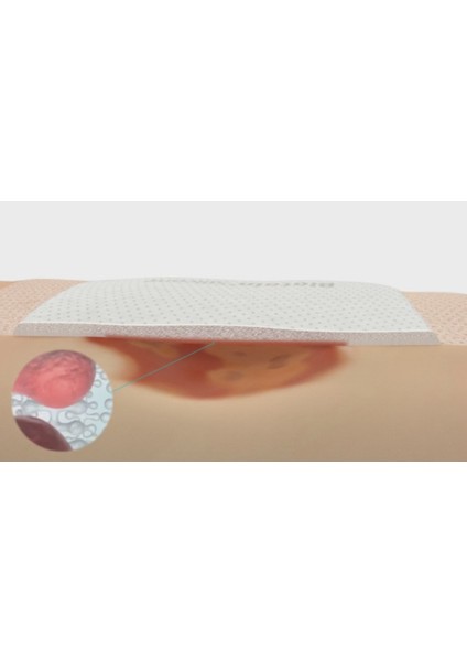 33435 Biatain Silikon Köpük Yara Örtüsü Yumuşak Yapışkanlı 10X10CM fiyatları