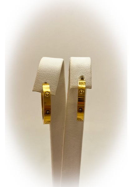 Cartier Model Taşlı Çelik Halka Küpe