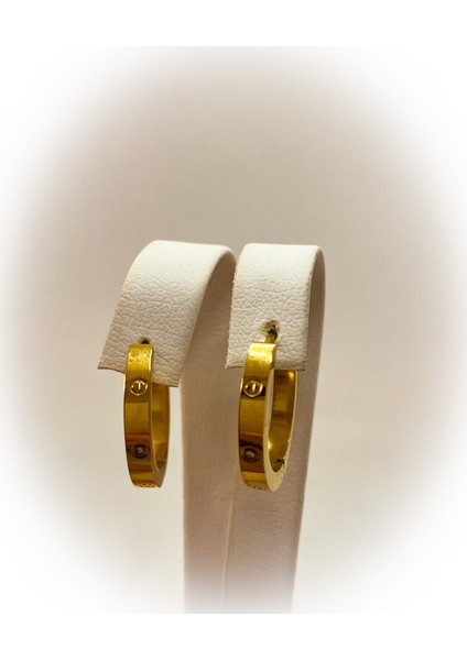 Cartier Model Taşlı Çelik Halka Küpe fiyatları
