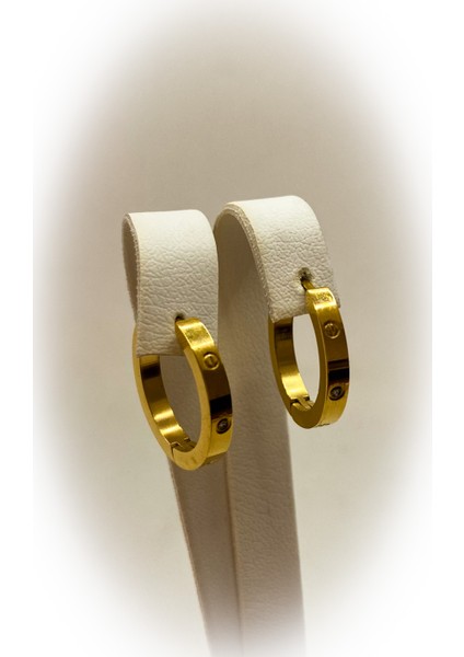 Cartier Model Taşlı Çelik Halka Küpe modelleri