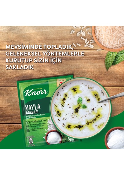 Hazır Çorba Yayla Çorbası 72 g