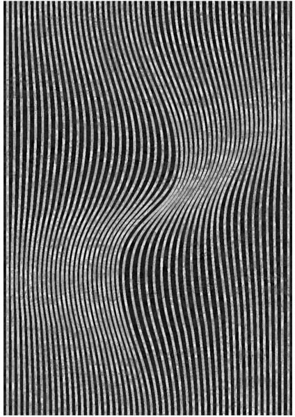 Yolluk Koridor Gri Siyah Dijital Baskı Kaymaz Yuvarlak Oval Kesme Ince Yıkanabilir Halı fiyatları