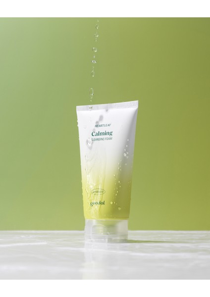 Heartleaf Calming pH Balancing Cleansing Foam - Houttuynia Cordata Özlü pH Dengeleyici Köpük Temizleyici