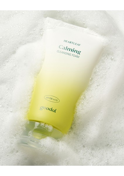 Heartleaf Calming pH Balancing Cleansing Foam - Houttuynia Cordata Özlü pH Dengeleyici Köpük Temizleyici
