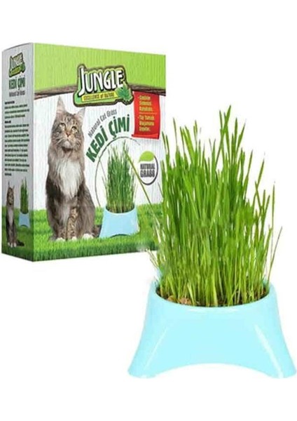 Doğal Kedi Çimi Kutulu Fileli