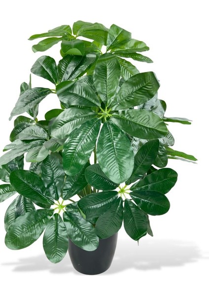 Yapay Çiçek Saksıda Şeflera Bitkisi Salon Çiçeği Yapay Bitki Pachira Macrocarpa 18 Dal 75 cm