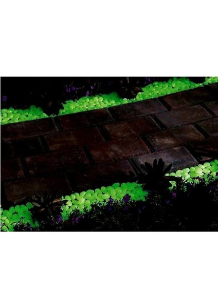 100 Adet Gece Karanlıkta Parlayan Dekoratif Fosforlu Çakıl Taşı