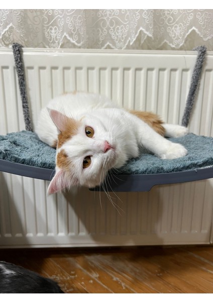 Kedi Yatağı, Petek Kalorifer Radyatör Yatağı Askılı Kedi Yatağı Hamağı Terası (47X 27,5 cm 18 Kg)