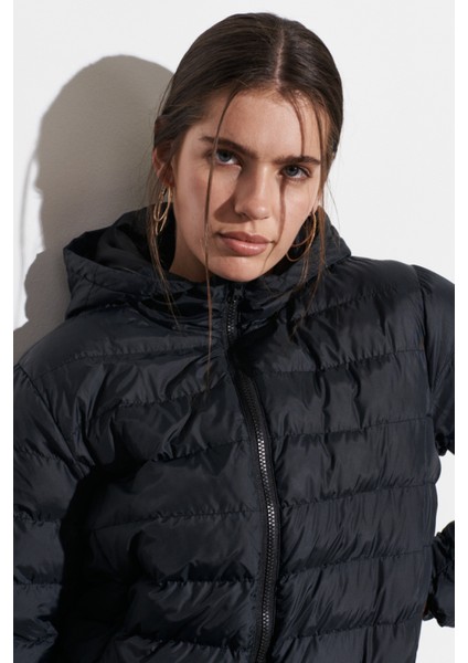 Regular Fit Normal Kesim Mavi Şişme Mont fırsatları