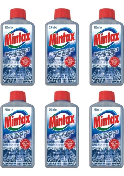 Bulaşık Makinesi Temizleyici 250 ml X6