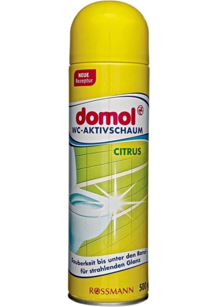 Tuvalet Temizleme Köpüğü 2'li Set