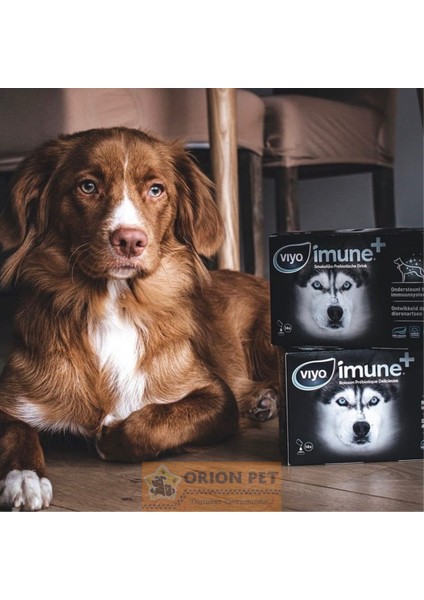 Imune+ Köpek Prebiotik Ek Besini- Lezzetli Prebiotik Sıvısı 7 Adet 7X30 ml