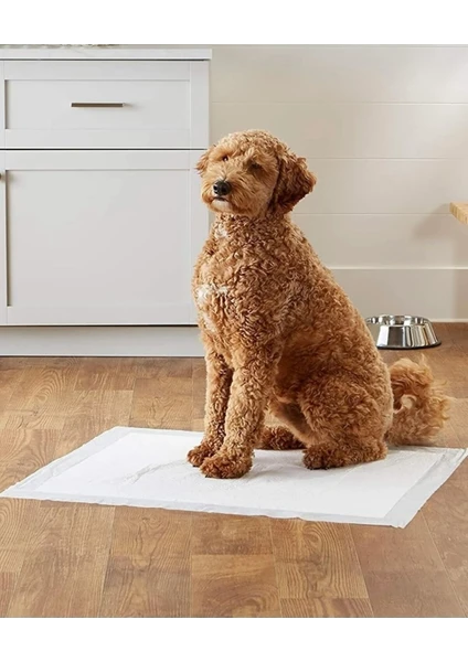 Köpek Kokusuz Çiş Pedi 60X90 cm 10LU Paket