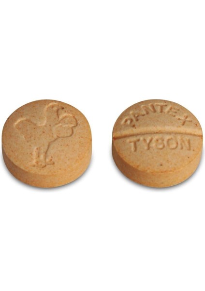 Tab-Atom Güvercin Anaç ve Yavru Hapı - 500 Tablet - Kuş Vitamini - Güvercin V