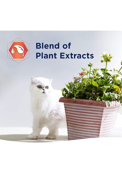 Fast Acting Hızlı Topaklanma Kedi Kumu - 10 Lt x 2 Adet