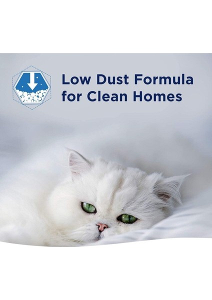 Fast Acting Hızlı Topaklanma Kedi Kumu - 10 Lt x 2 Adet
