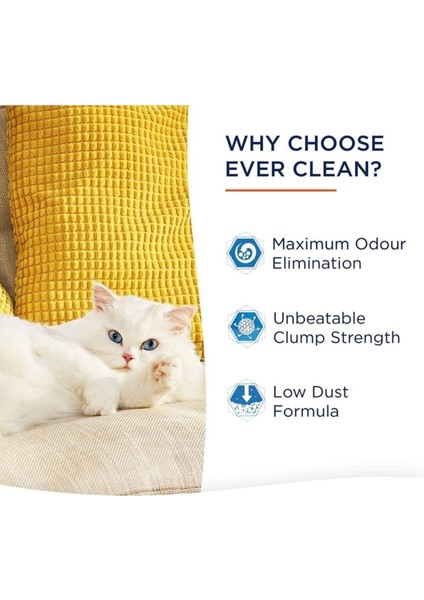 Fast Acting Hızlı Topaklanma Kedi Kumu - 10 Lt x 2 Adet