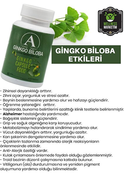 Ginko Biloba