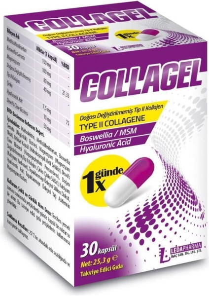Collagel Kapsül Type Ii Collagen