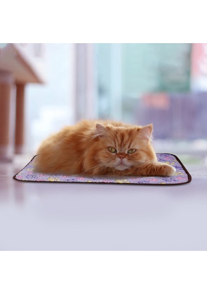 40*29CM Köpekler Için Kedi Mat Soğutma Yaz Pedi Kedi Nefes Alabilir Yatak Yıkanabilir
