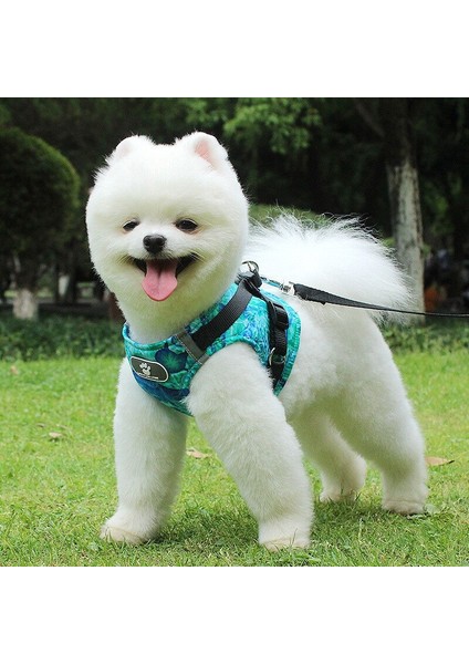 Evcil Hayvan Ayarlanabilir Koşum Yelek Yavru Köpekler Için Yürüyüş Kurşun Tasma Yansıtıcı Kedi Yaka Naylon Koşum fırsatları