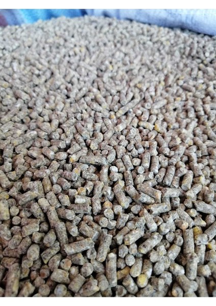 Koz Yem 15 kg Gezen Tavuk Yumurta Yemi Pelet (Tüm Kanatlılar Için Uygundur) modelleri