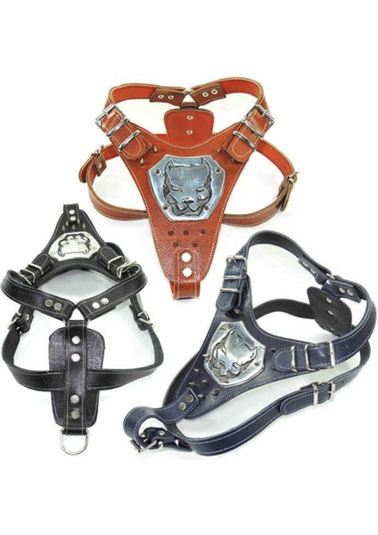 Deri Gladyatör Tasma Xl