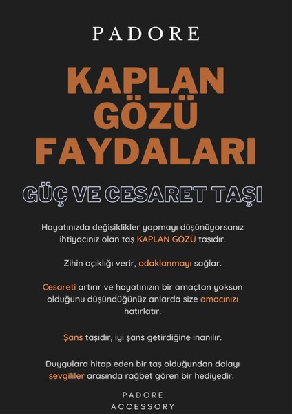 Unisex - Kaplan Gözü ve Parlak Siyah Onix Doğal Taşlı Padore Bileklik