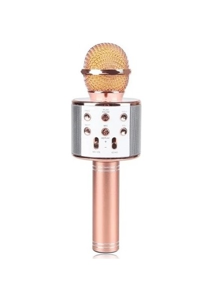 WS-858 Karaoke Mikrofon (Rose Gold) fiyatları