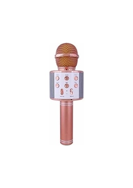 WS-858 Karaoke Mikrofon (Rose Gold) modelleri