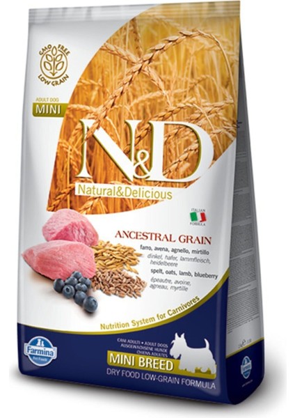 Neo Pet Market Düşük Tahıllı Kuzu Etli Yaban Mersinli Küçük Irk Yetişkin Köpek Maması 2.5 kg