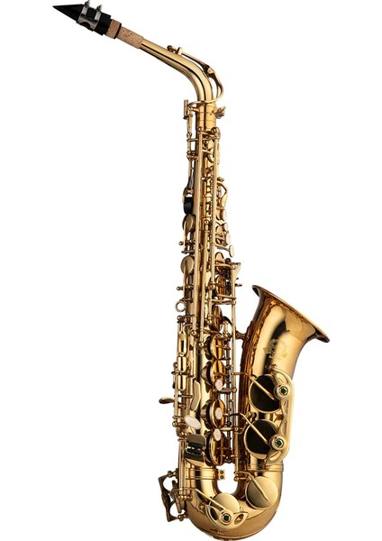 SAS-190 Debut Serisi Gold Finish Alto Saksafon