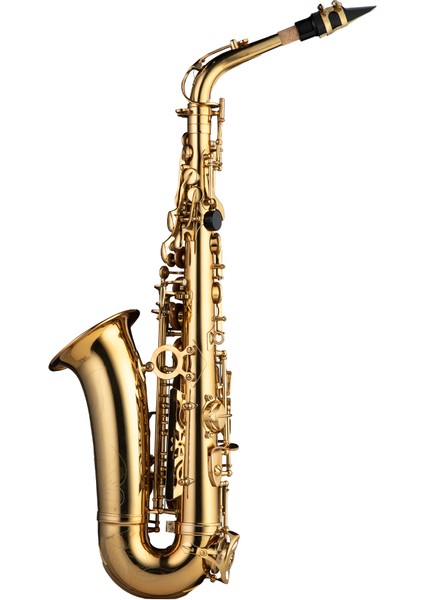 SAS-190 Debut Serisi Gold Finish Alto Saksafon