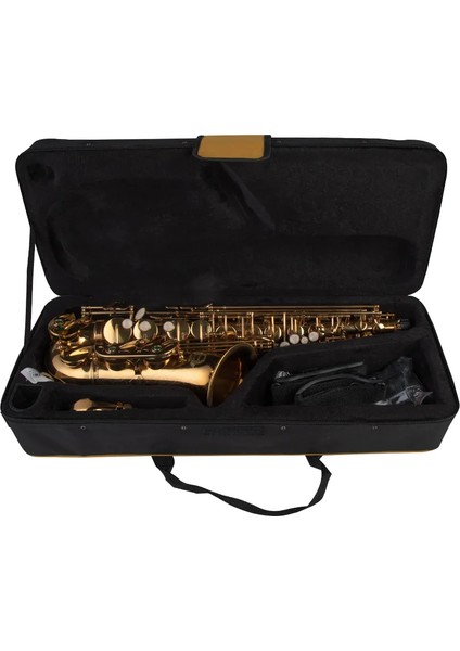 SAS-190 Debut Serisi Gold Finish Alto Saksafon