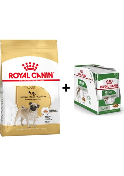Pug Irkı Özel Köpek Maması 1,5 kg + 12 Adet Yaş Mama