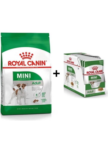 Mini Adult Köpek Maması 2 kg + 12 Adet Yaş Mama