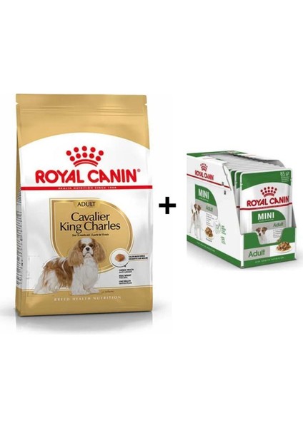Cavalier King Charles Yetişkin Köpek Maması 3 kg + 12 Adet Yaş Mama