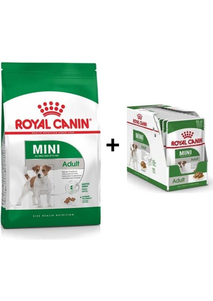 Mini Adult Köpek Maması 4 kg + 12 Adet Yaş Mama