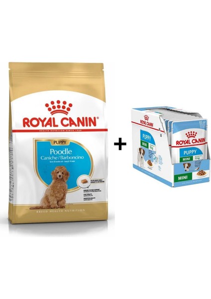 Poodle Puppy Köpek Maması 3 kg + 12 Adet Yaş Mama
