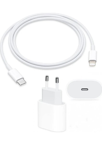 Apple 20W Usb-C Iphone Uyumlu 11 12 13 14 Pro Max Mini Yeni Nesil Hızlı Şarj Aleti Set