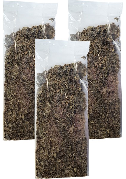 Fesleğen Bitkisi 3 Paket Yeşil Fesleğen Kurusu Yeşil Reyhan Çayı
