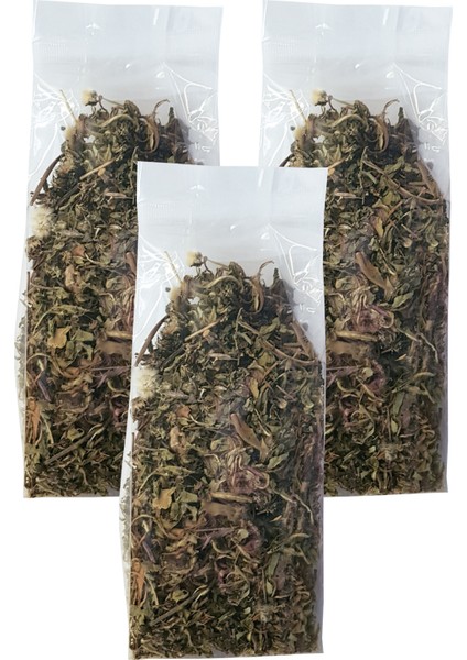 Hindibağ 3 Paket Kurutulmuş Hindiba Çayı Hindibağ Otu