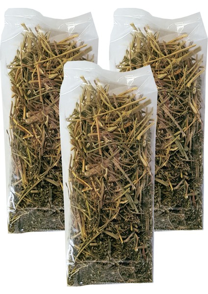 Şahdere Otu Bitkisi 3 Paket Şahtere Çayı Kurutulmuş Şahdere Otu Şahtere