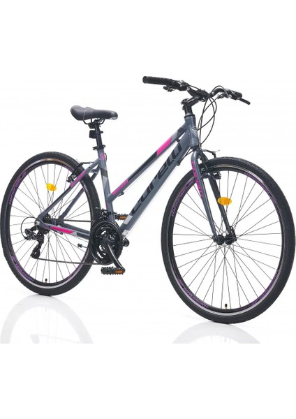 Lifestyle 3.0 28 Jant 21 Vites 46 cm Şehir-Tur Bisikleti-Gri-Fuşya