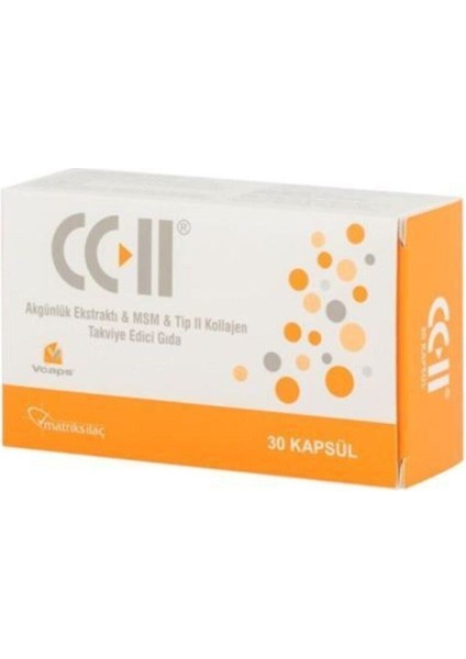 Cc Iı Akgünlük Ekstraktı Msm Tip Iı 30 Kapsül