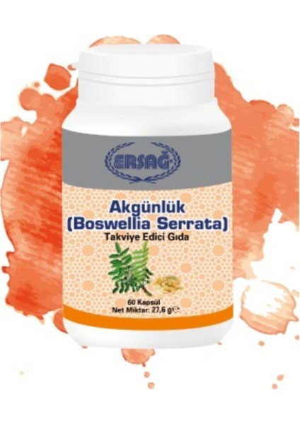 Akgünlük (Boswellia Serrata) Ersağ