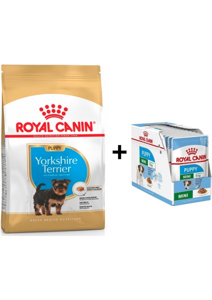 Yorkshire Terrier Yavru Köpek Maması 1,5 kg + 12 Adet Yaş Mama