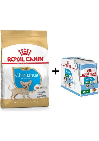 Chihuahua Junior Yavru Köpek Maması 1,5 kg + 12 Adet Yaş Mama