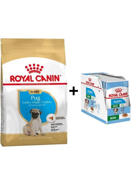 Pug Junior Yavru Köpek Maması 1,5 kg + 12 Adet Yaş Mama