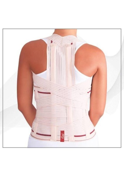 Abc Tip Case Dorse Lomber Korse Small